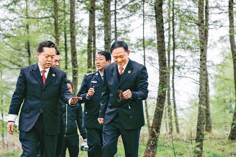 自2019年4月以来,重庆市巫溪县人民检察院联合陕西省镇坪县、湖北省竹溪县、神农架林区检察机关和林业部门,制定协作机制,通过共享跨区域刑事司法案件信息、建立联动巡山机制等,助力林业生态保护持续向好发展。图为2020年4月22日,重庆市巫溪县人民检察院联合陕西省镇坪县人民检察院组成的跨区域联合行动小组,在鸡心岭地区开展联合巡山活动。 新华社发 黄伟/摄