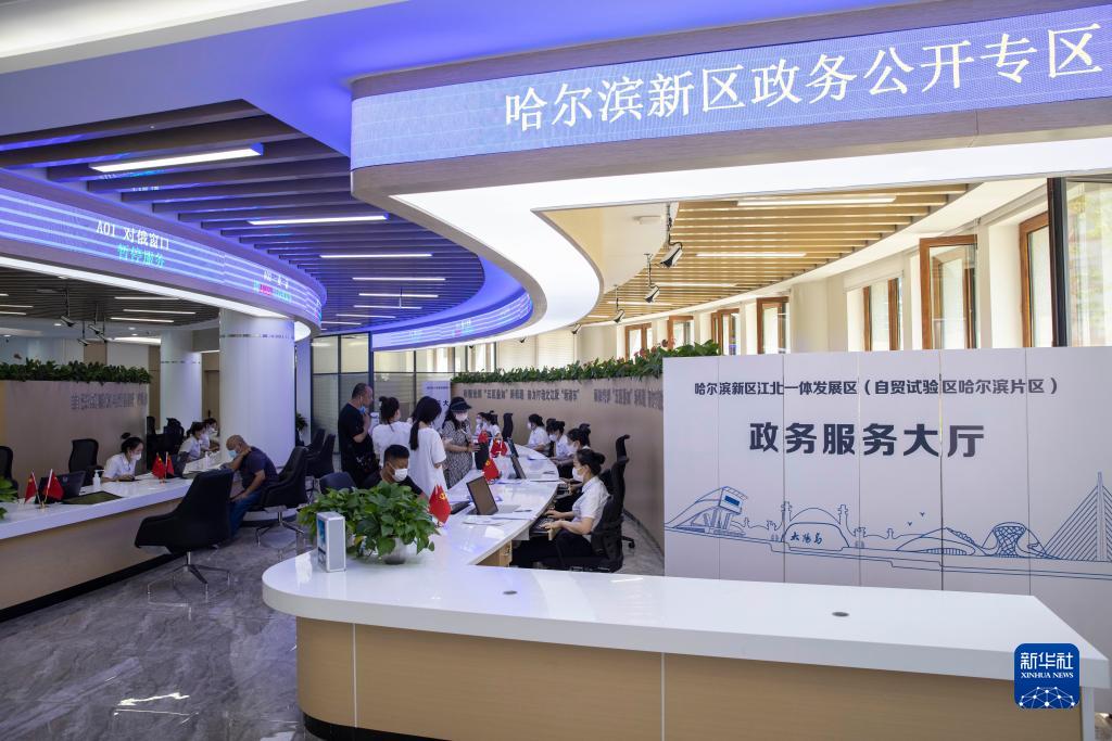 在黑龙江省哈尔滨新区江北一体发展区(自贸试验区哈尔滨片区)政务服务大厅,市民在办理业务(2022年7月12日摄)。